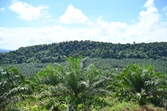 image05