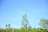 image05