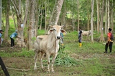 image05