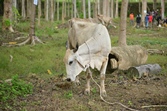 image05