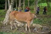 image05