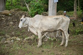 image05
