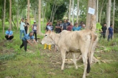 image05